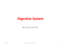 11. Digestive System.pdf